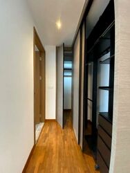 Sunrise Avenue (D28), Terrace #498017491